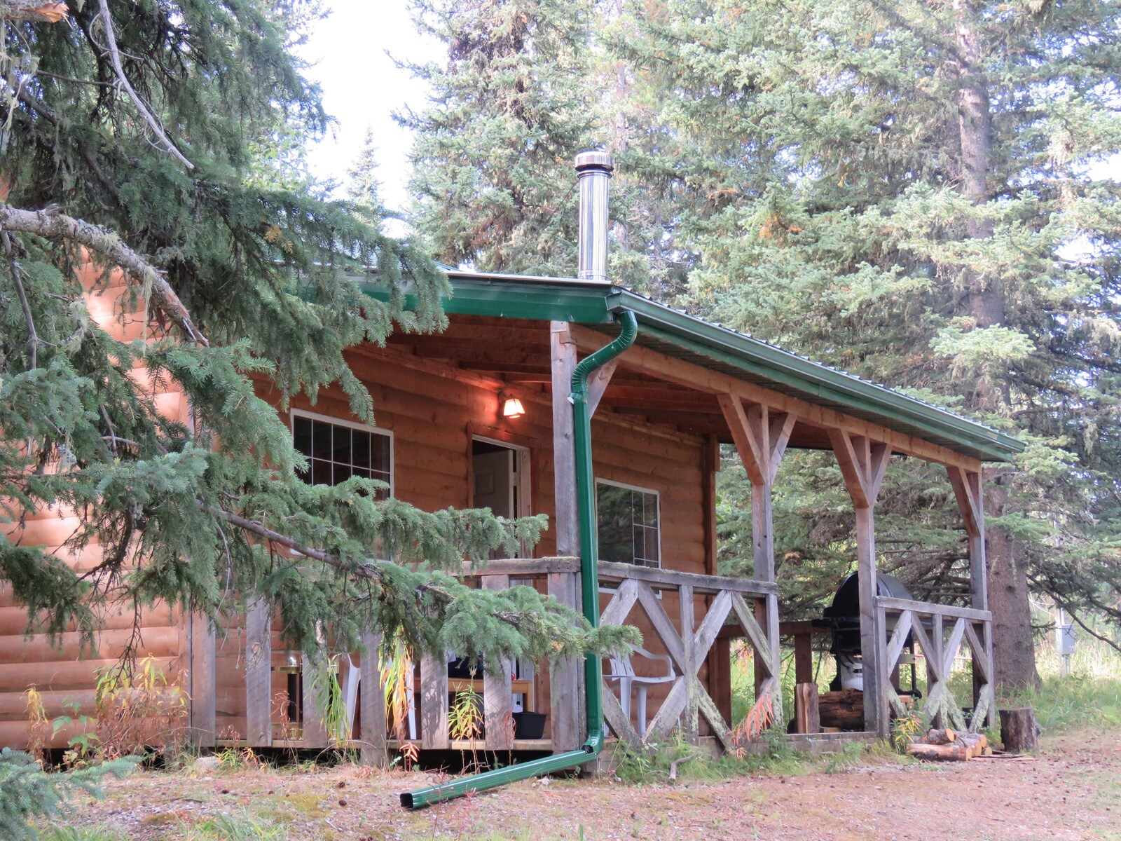 Schott’s Lake property view 5