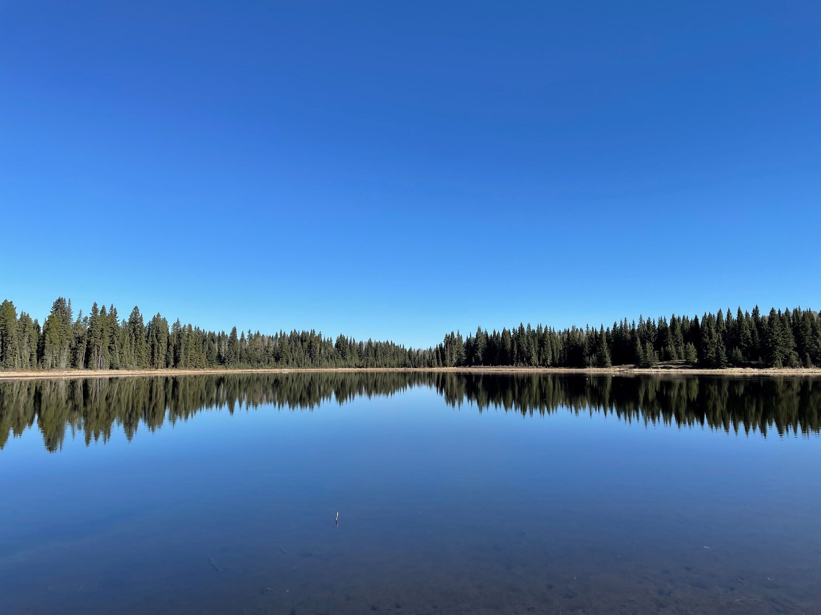 Schott’s Lake property view 9
