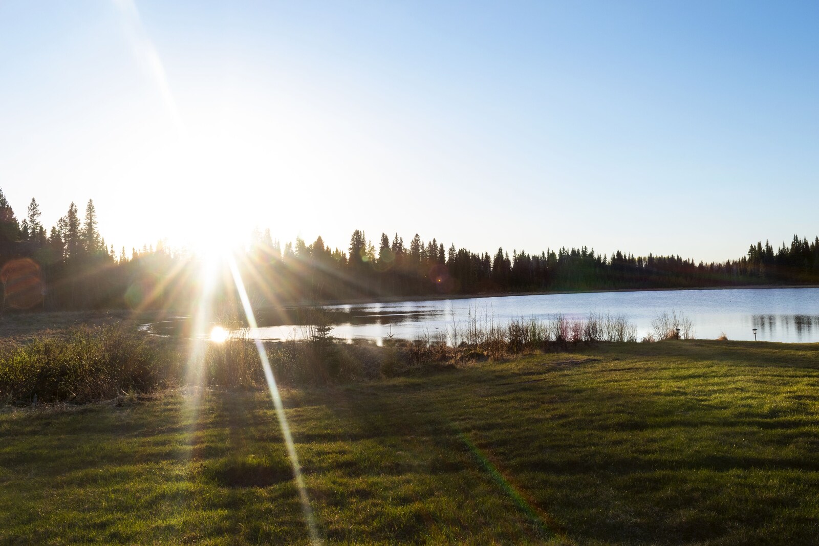 Schott’s Lake property view 10