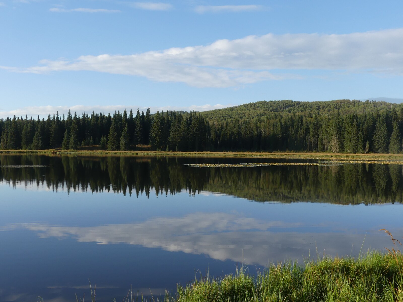 Schott’s Lake property view 11