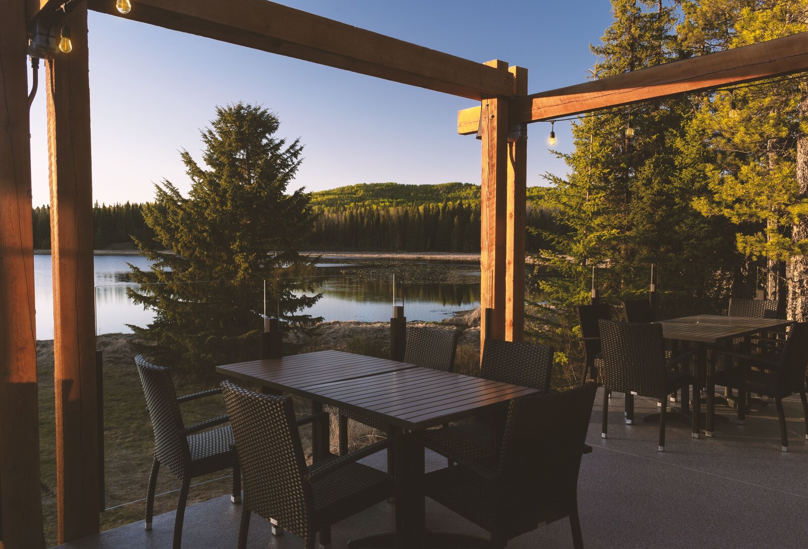 Schott’s Lake property view 16