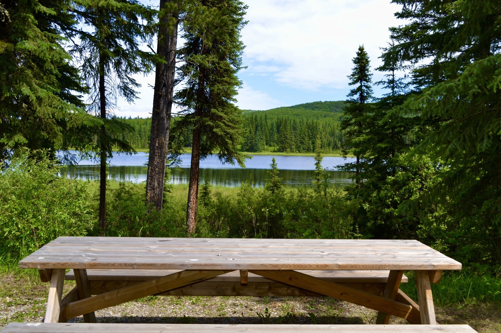 Schott’s Lake property view 18