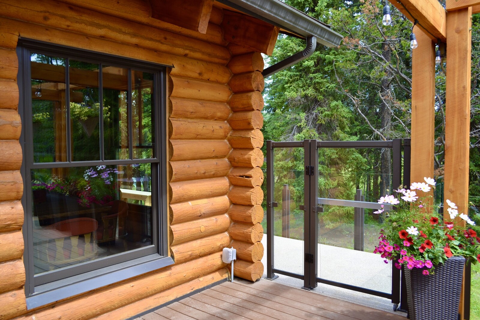 Schott’s Lake property view 19