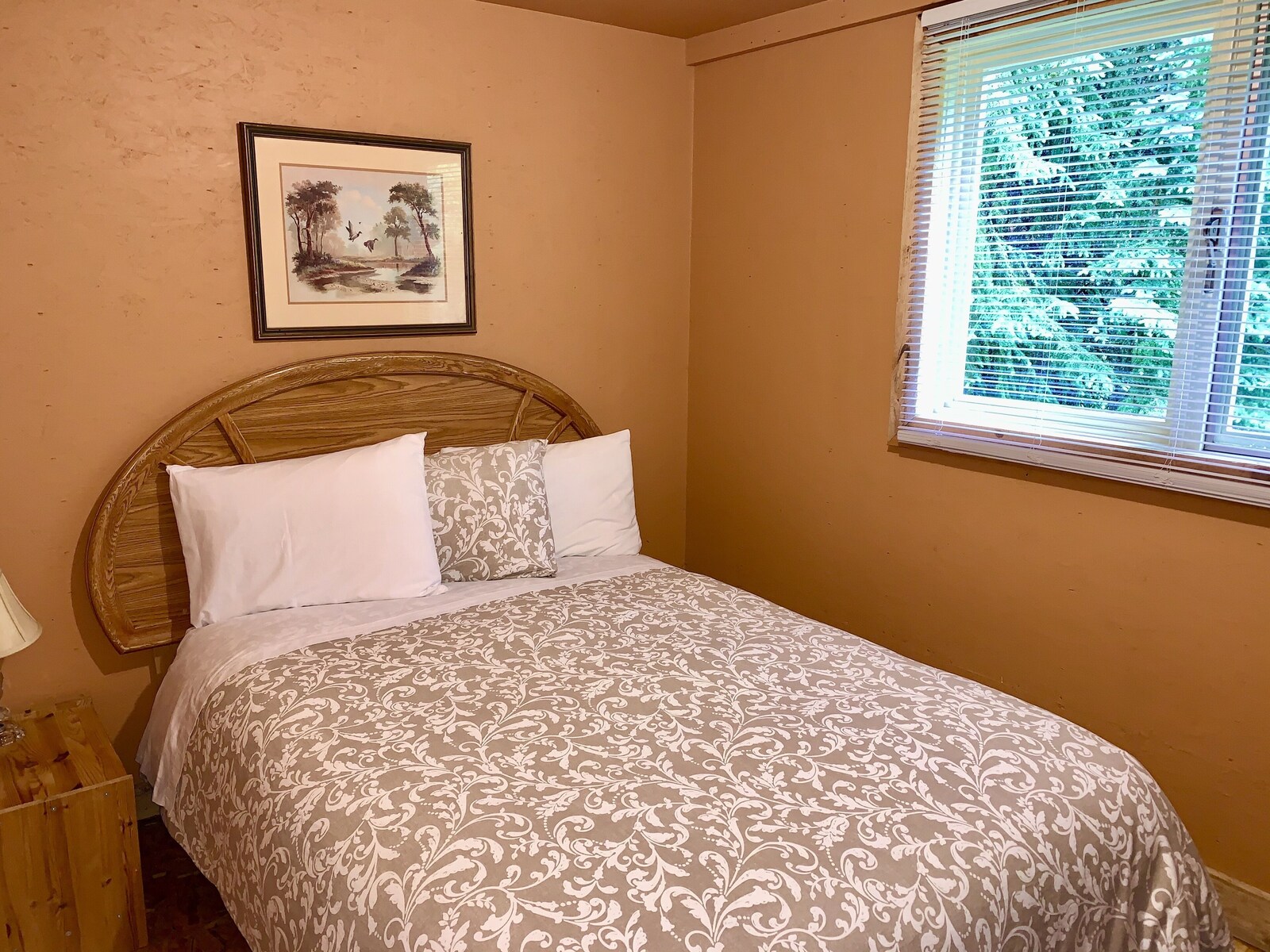 Schott’s Lake property view 21